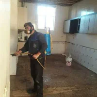 سم پاشی منازل سمپاشی موریانه ساس سوسک تضمینی