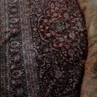 فرش۱۲ متری ارم کاشان|فرش|اردبیل, |دیوار