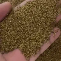 بذر یونجه رو مستقیم از کشاورز بخر (رودخانه)