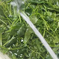 کشمش پاک کردنی