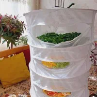 سبزی هاتو تمیز خشک کن