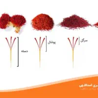 زعفران تازه|خوردنی و آشامیدنی|مشهد, ده دی|دیوار