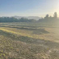 ۱۲هزار متر زمین کشاورزی