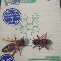 علوم خیلی سبز نهم|کتاب و مجله آموزشی|شهریار, شهریار|دیوار