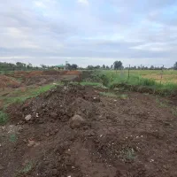 زمین کشاورزی ۹/۶۰۰متری مناسب‌کاشت‌کیوی در تالش|فروش دفتر صنعتی، کشاورزی، تجاری|اسالم, |دیوار
