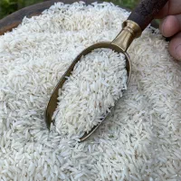 برنج طارم هاشمی قیمت مناسب