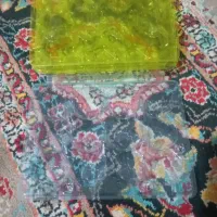شانه رنگی تخم بلدرچین . سیحون