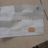 طلای آب شده