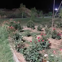 فروش-زمین-برا-باغ-ویلا