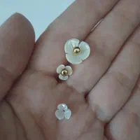 صدف و مروارید پرورشی