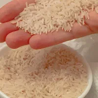 برنج ایرانی|عمدهفروشی|شاهینشهر, شهرک سایت|دیوار