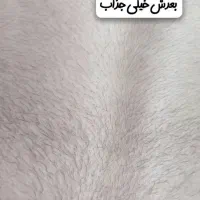 اپلاسیون فوق تخصصی کار باوکس|خدمات آرایشگری و زیبایی|شیراز, فضل‌آباد|دیوار