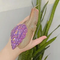 حلزون البینو آچاتینا