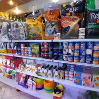 آکواریم ماهی  گوپی اسکار سیچلاید  آروانا مولی|ماهی|ری, فیروزآبادی|دیوار