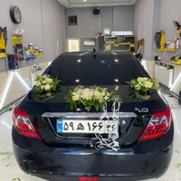 ماشین عروس گلارایی طبیعی1500|خدمات پذیرایی، مراسم|مشهد, ایثارگران|دیوار