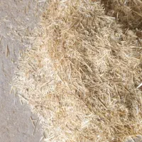 نیازمند یک نیرو جوان نهایت 30 سال