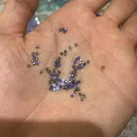 سنگ زینت و طراحی لباس جنس خارجی|صنایع دستی و سایر لوازم تزئینی|مریوان, |دیوار