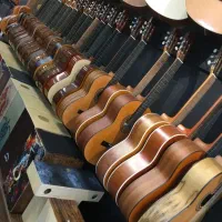 با گیتار  حرفه ای صدای داخواهت بساز//