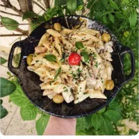 نیرو کار وآشپز