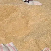 کاه گندم دیم