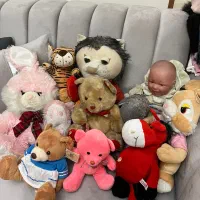 عروسک پولیشی