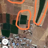 زمین کشاورزی مرغوب