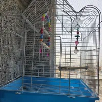 قفس طوطی