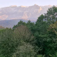 زمین ۴۵۰ متری ورپی