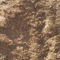 کاه گندم|عمده‌فروشی|قیدار, |دیوار