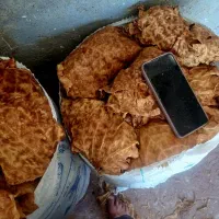 بنیاد اصل درجه ۱
