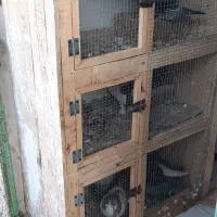 قفس ۳ طبقه تمام چوبی فروش و معاملع