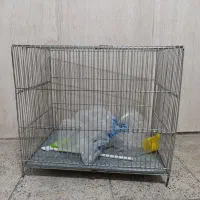 قفس پرنده