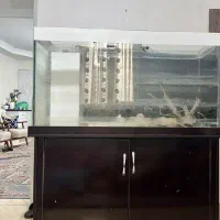 اکواریوم تخفیف ویژه برای اولین خریدارواقعی