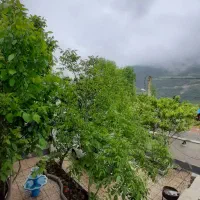 آپارتمان-در-خیابان-فاز-یک