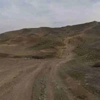 دوعدد-زمین-صد-و-ده-سهمی