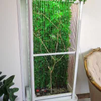 قفس بزرگ پرنده|لوازم جانبی حیوانات|الوند, |دیوار