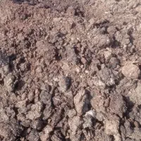 کود حیوانی|خدمات باغبانی و درختکاری|نیشابور, مازول|دیوار