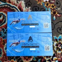 بلیط استخر امیر کبیر