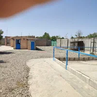 گاوداری۲۵۰۰متری بامجوز۵۰راسی احمدآبادمصدق|فروش دفتر صنعتی، کشاورزی، تجاری|آبیک, |دیوار