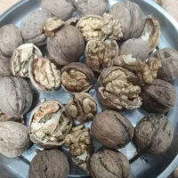 گردو ی زنوز|خوردنی و آشامیدنی|مرند, |دیوار