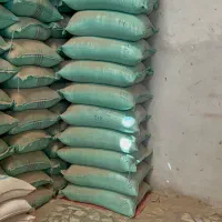 برنج کشت دوم طارم امراللهی|خوردنی و آشامیدنی|سرخرود, |دیوار