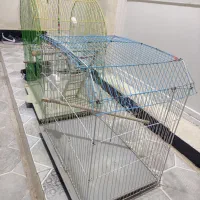 قفس تمیز و سالم