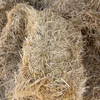 فروش کاه درجه یک گندم قالبی۱۰تن