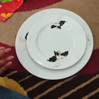 بشقاب‌تخت‌.بشقاب‌گود.پیش‌دستی