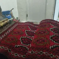 قالیچه. سنتی دستبافت|فرش|کاشان, فاز ۲ ناجی آباد|دیوار