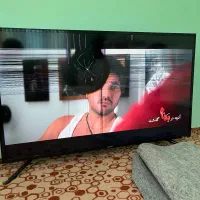 تلویزیون