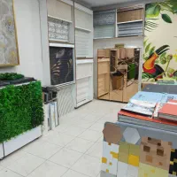 دکوراسیون داخلی نقشینه (کاغذدیواری، پارکت، کفپوش)|مصالح و تجهیزات ساختمان|قم, باجک یک|دیوار