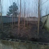 مسکونی با سند تکبرگ+برق۳۲آمپر+انباری،سیاه‌درویشان