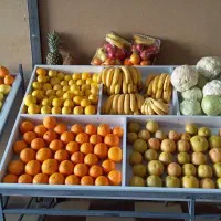 فروش وسایل میوه فروشی