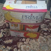 کارتون موز به تعداد حدودا ۲۰۰ عدد